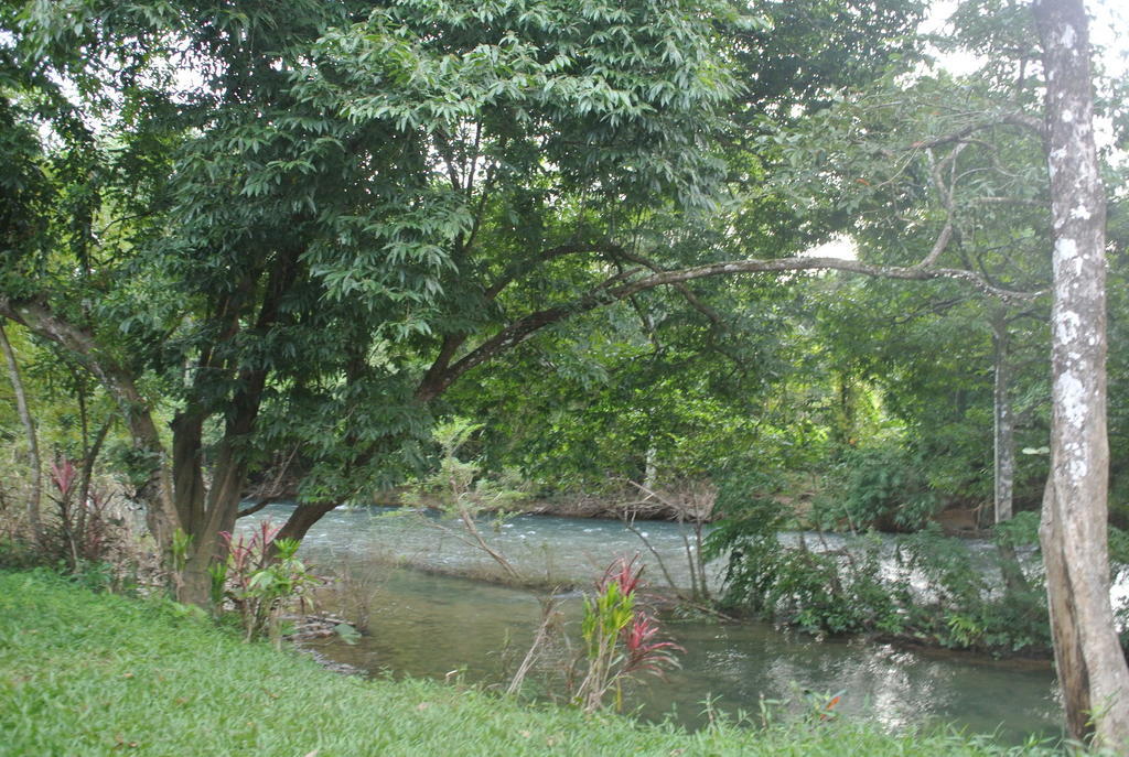 Khao Sok National Park Khaosok Island Resort מראה חיצוני תמונה