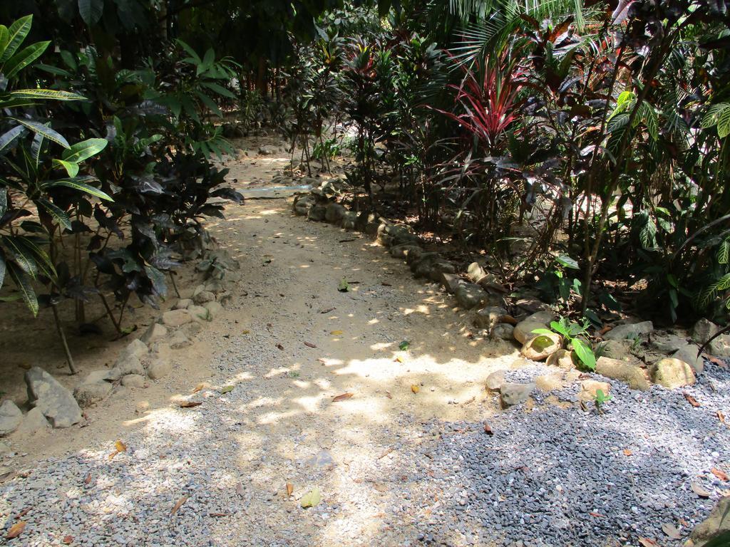 Khao Sok National Park Khaosok Island Resort מראה חיצוני תמונה