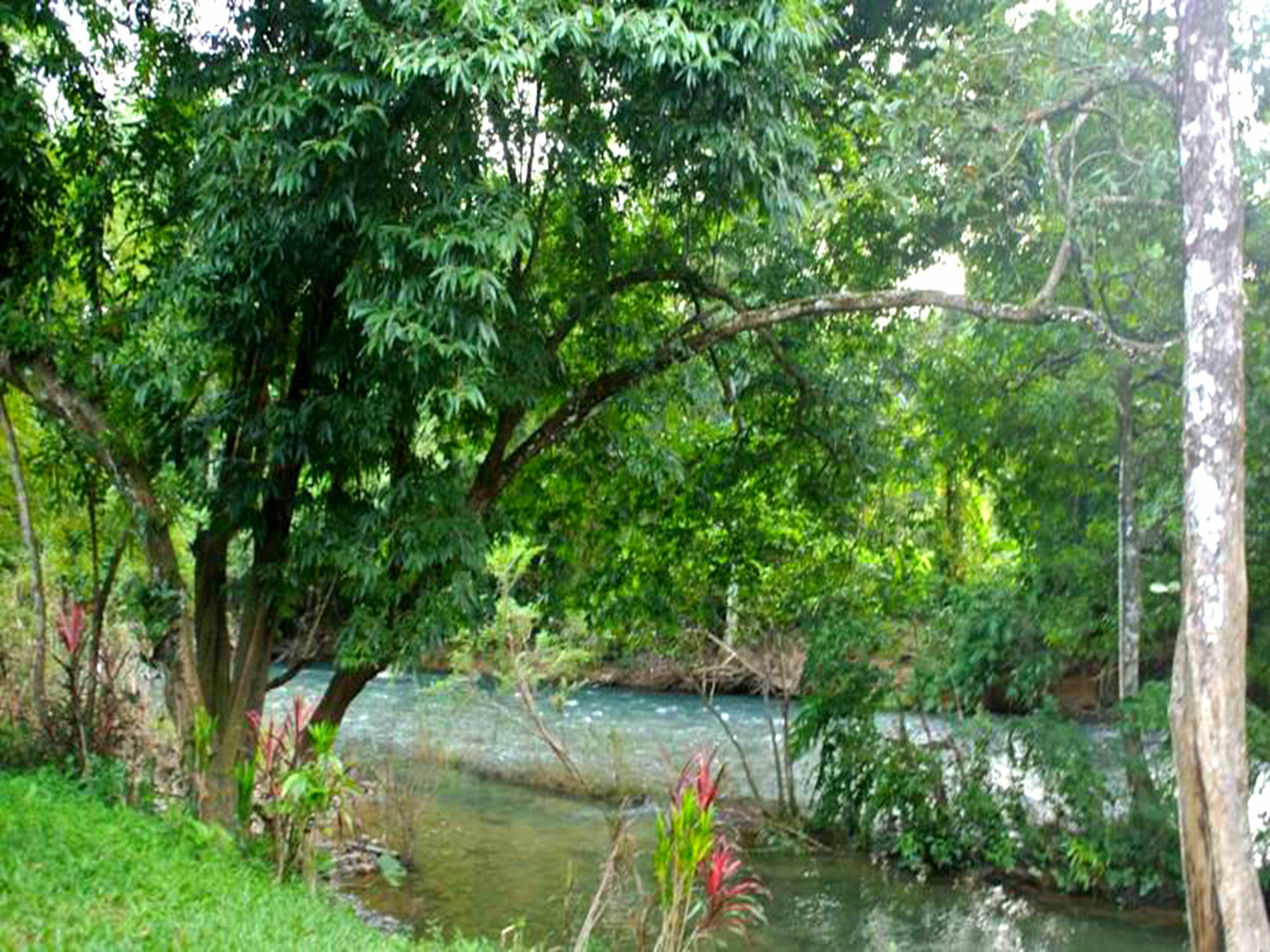 Khao Sok National Park Khaosok Island Resort מראה חיצוני תמונה